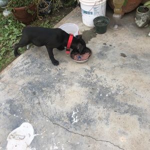 Meet your Posher, Mario